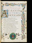 Preview Page