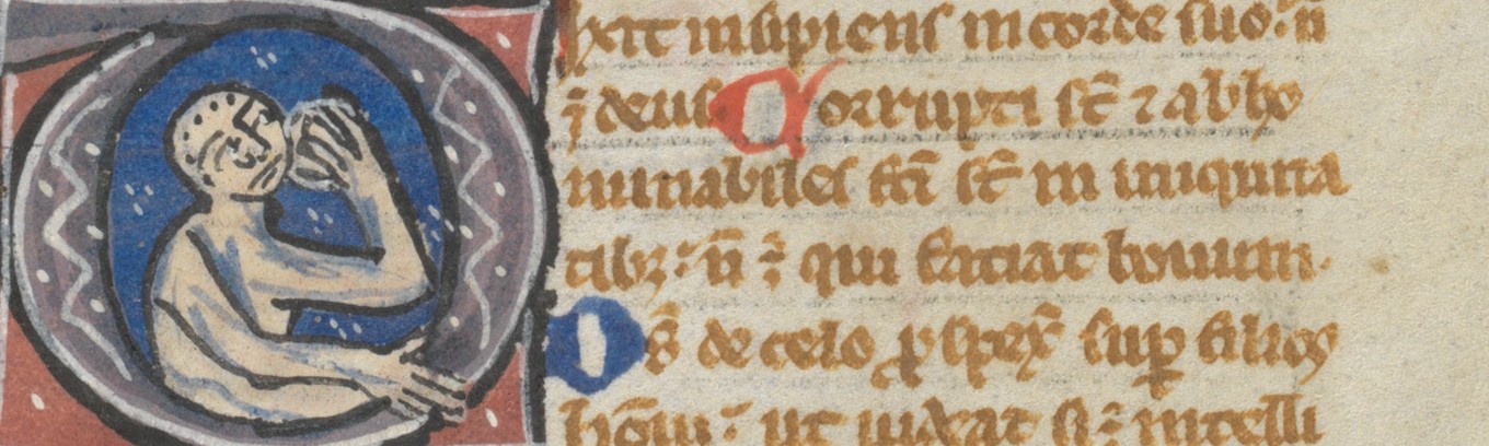 St. Gallen, Stiftsbibliothek, Cod. Sang. 1, initial (the Fool of <em>Dixit insipiens</em>)
